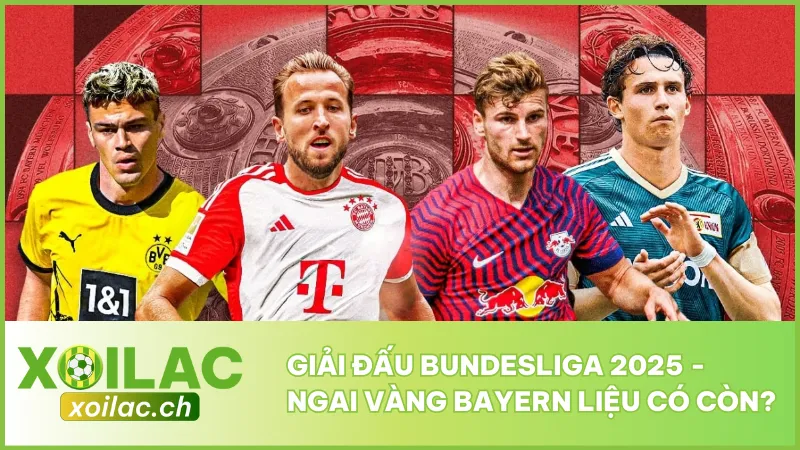 Giải Đấu Bundesliga 2025 - Ngai Vàng Bayern Liệu Có Còn?
