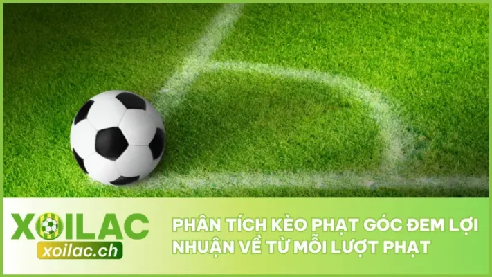 Phân Tích Kèo Phạt Góc Đem Lợi Nhuận Về Từ Mỗi Lượt Phạt