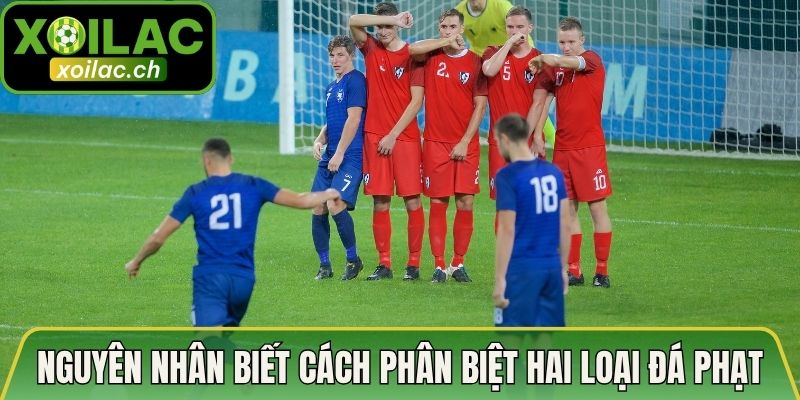 Bộ câu hỏi về cách phân biệt 2 hình thức phạt