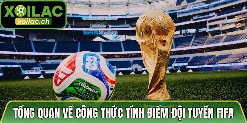 Tổng quan về công thức tính điểm đội tuyển FIFA