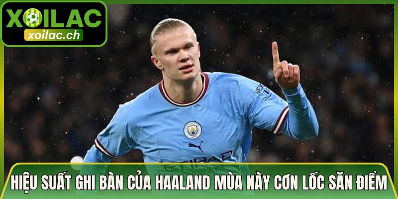 Hiệu Suất Ghi Bàn Của Haaland Mùa Này Cơn Lốc Săn Điểm