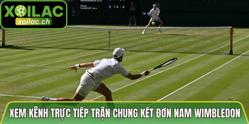 Kênh trực tiếp trận chung kết đơn nam Wimbledon xem ở đâu