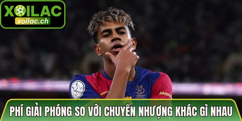 Phí giải phóng so với chuyển nhượng có gì khác nhau