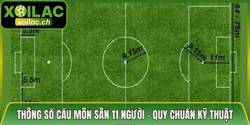Thông Số Cầu Môn Sân 11 Người – Quy Chuẩn Kỹ Thuật 2026