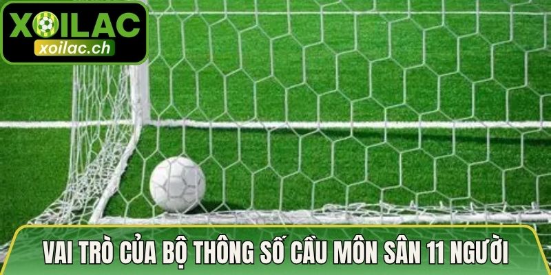 Vai trò của bộ thông số cầu môn sân 11 người