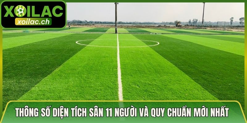 Thông Số Diện Tích Sân 11 Người Và Quy Chuẩn Mới Nhất