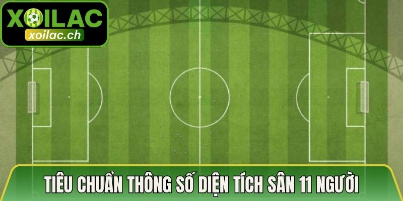 Tiêu chuẩn thông số diện tích sân 11 người